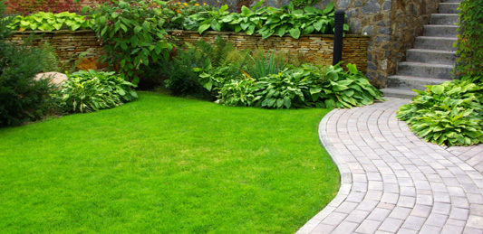 Al Noaimi Landscaping Contractor Grade A Qatar