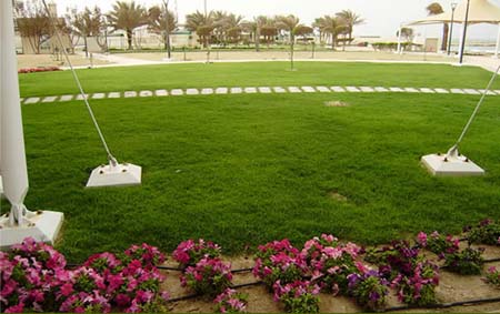 Avant-garde soil conditioner introduction in Qatar
