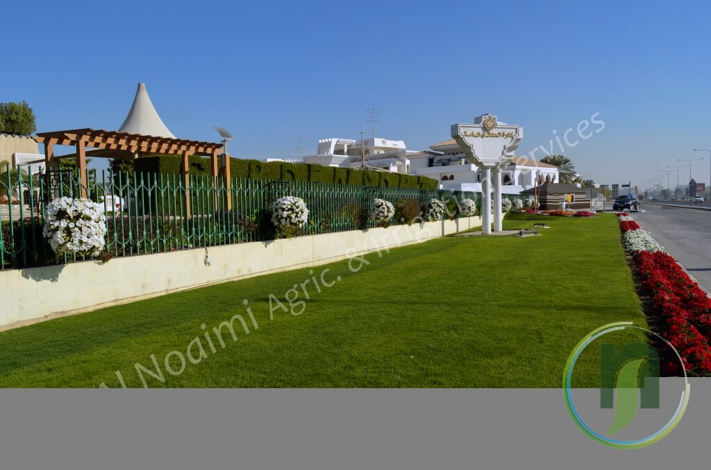 Al Noaimi Landscaping Irrigation Gallery