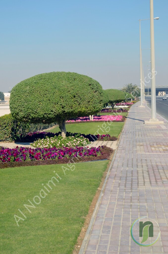 Al Noaimi Landscaping Irrigation Gallery