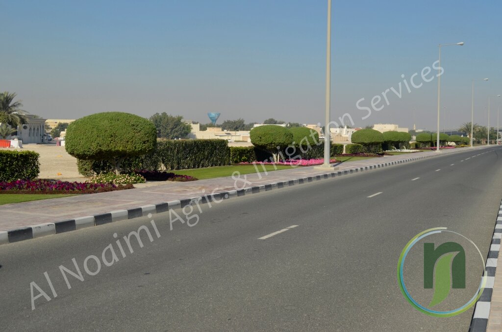 Al Noaimi Landscaping Irrigation Gallery