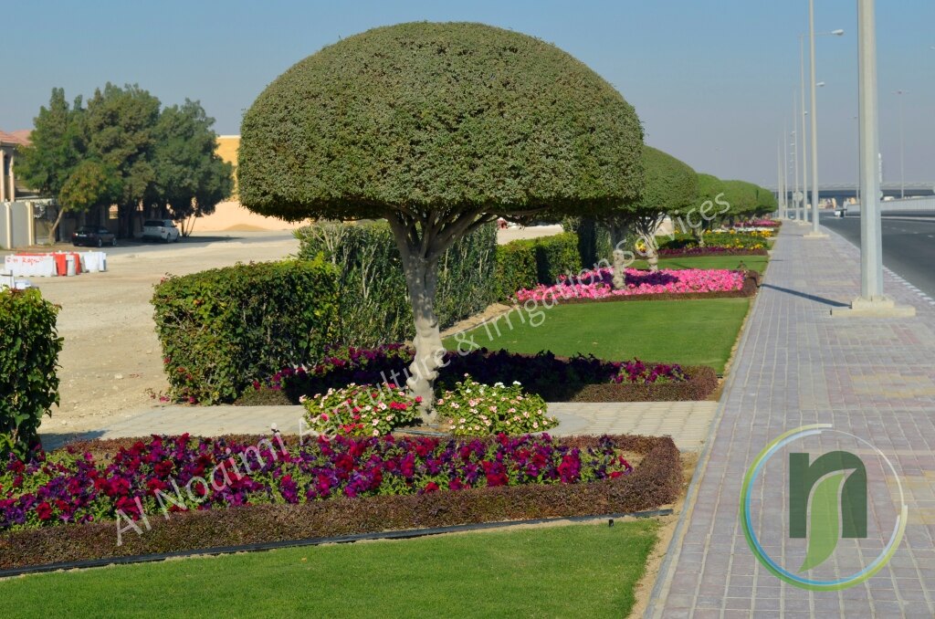 Al Noaimi Landscaping Irrigation Gallery