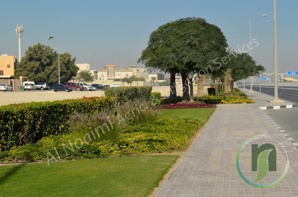 Al Noaimi Landscaping Irrigation Gallery