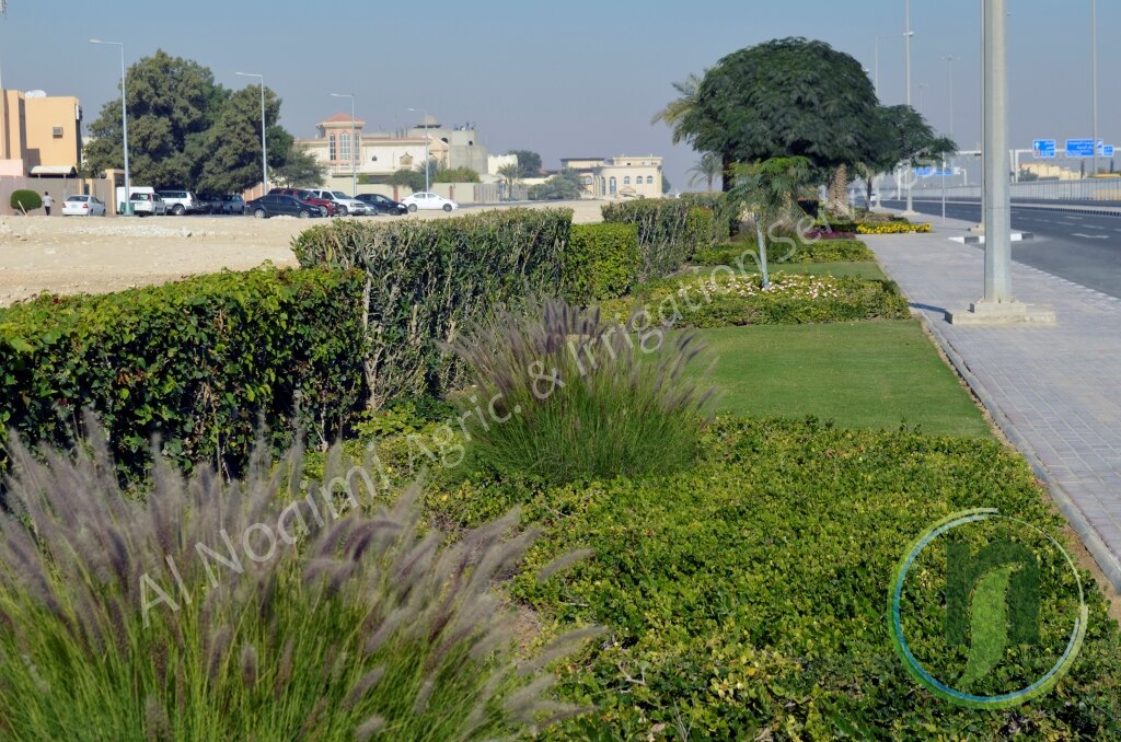 Al Noaimi Landscaping Irrigation Gallery