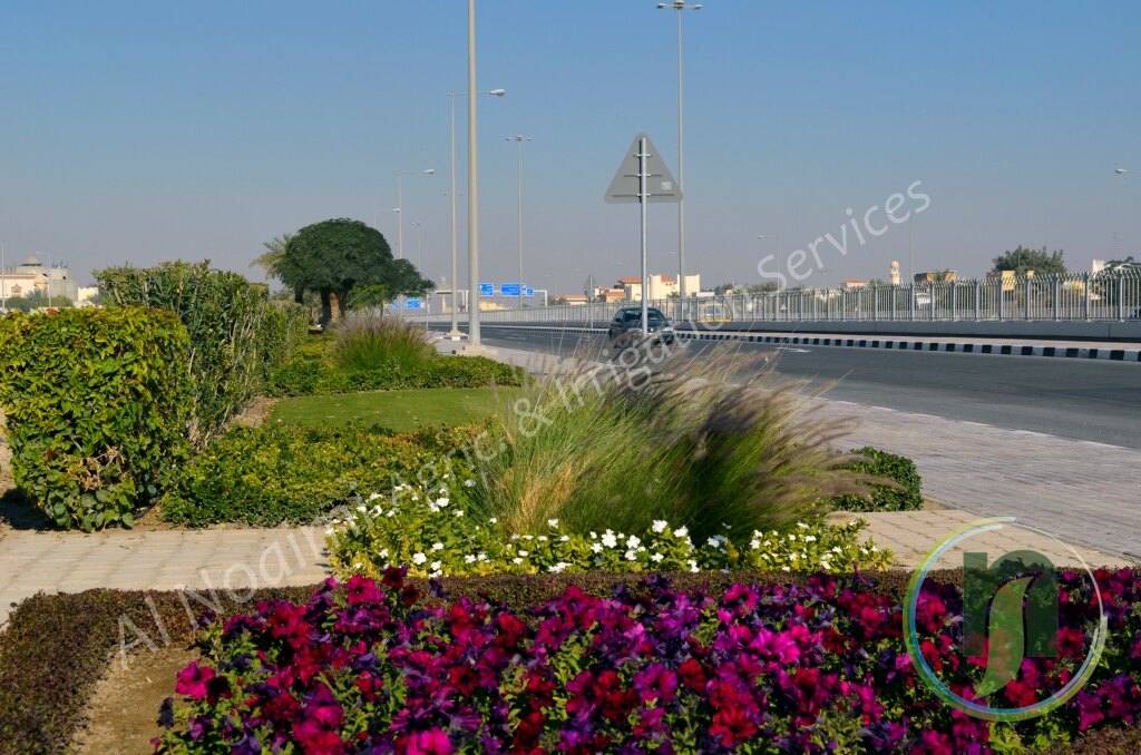 Al Noaimi Landscaping Irrigation Gallery