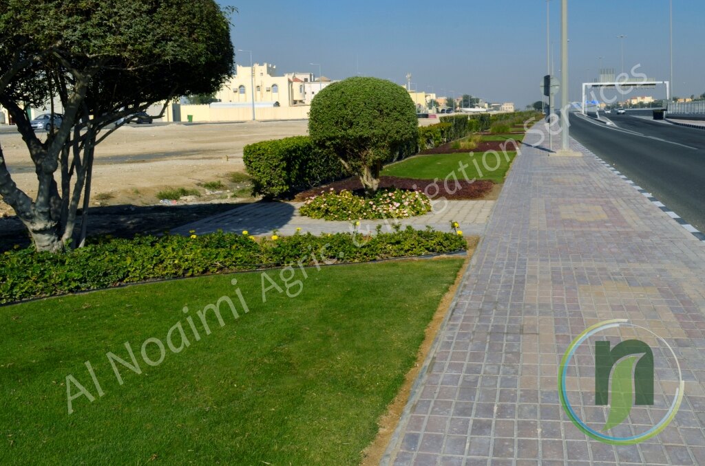 Al Noaimi Landscaping Irrigation Gallery