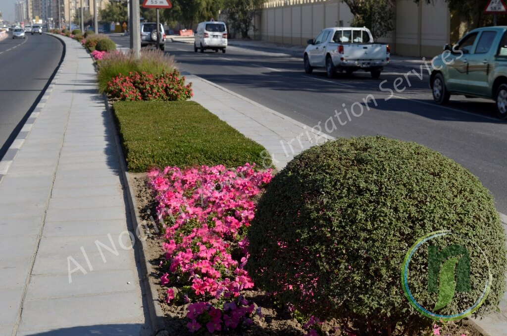 Al Noaimi Landscaping Irrigation Gallery