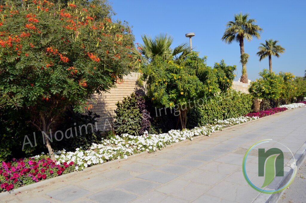 Al Noaimi Landscaping Irrigation Gallery