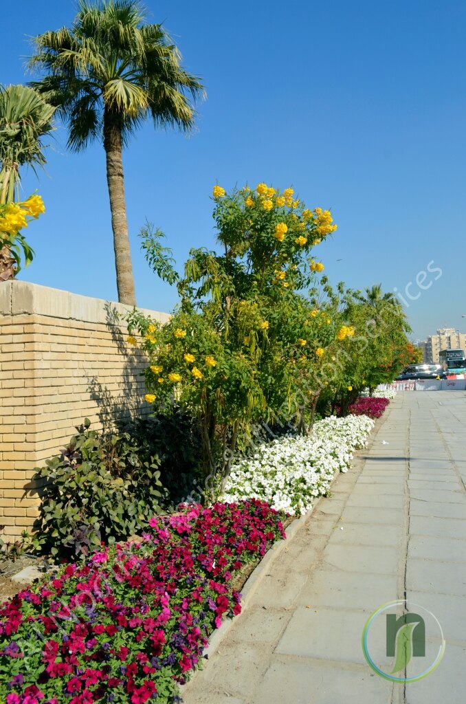 Al Noaimi Landscaping Irrigation Gallery
