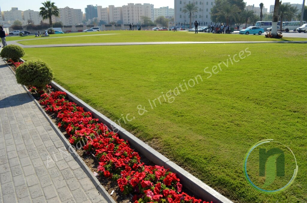 Al Noaimi Landscaping Irrigation Gallery