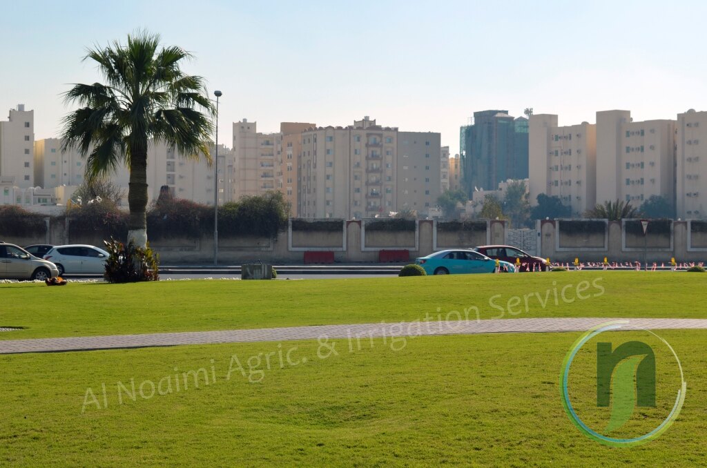 Al Noaimi Landscaping Irrigation Gallery