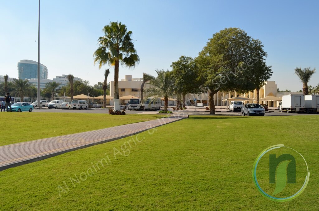 Al Noaimi Landscaping Irrigation Gallery