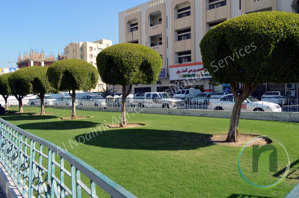 Al Noaimi Landscaping Irrigation Gallery