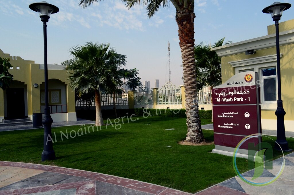 Al Noaimi Landscaping Irrigation Gallery
