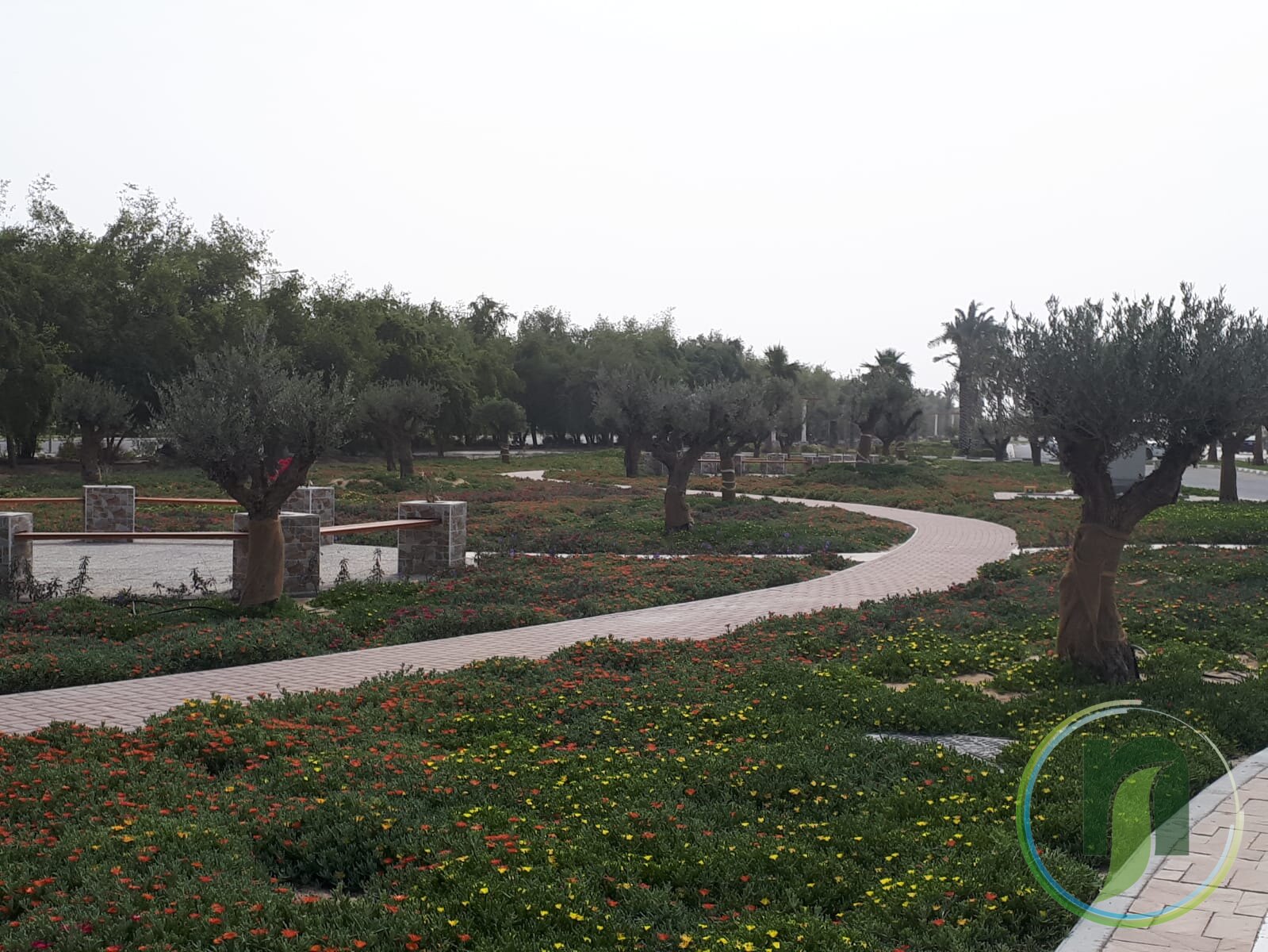 Al Noaimi Landscaping Irrigation Gallery